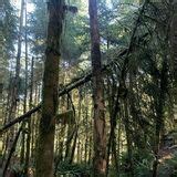 Secret Beach Trail - Oregon | AllTrails