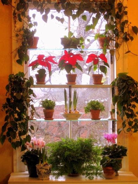 How to Design a Window Garden - Gallery | Garden Design