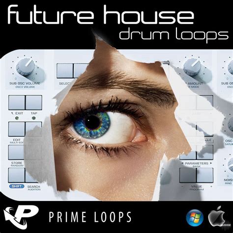 Download Prime Loops Future House Drum Loops WAV ACiD-DYNAMiCS » AudioZ