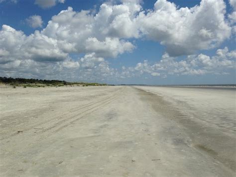 Sapelo Island Images - Vacation Pictures of Sapelo Island, Georgia Coast - Tripadvisor