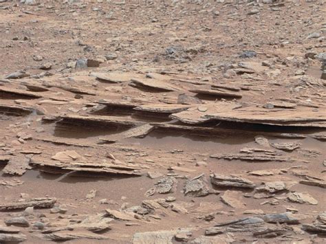 Earth microbes can survive on Mars, study finds - SlashGear