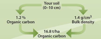 Total Organic Carbon | Fact Sheets | soilquality.org.au