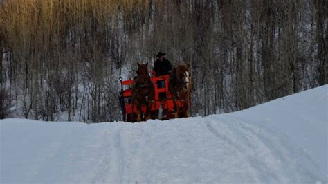 Cancelled for 2021-22 Season | Saddleback Ranch Sleigh Rides – Steamboat Springs, CO