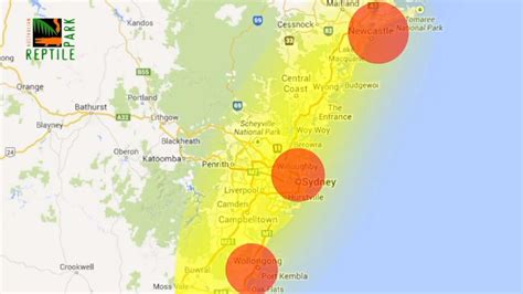 Australian Reptile Park warn NSW residents about funnel-web spider ...