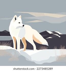 Arctic Fox Snowy Tundra Arctic Animals Stock Vector (Royalty Free) 2278150211 | Shutterstock