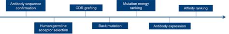 Antibody Humanization-Mouse/Rabbit Antibody-Degree>90%-DetaiBio