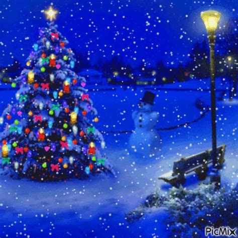 Classic Christmas Tree | Outdoor Decoration