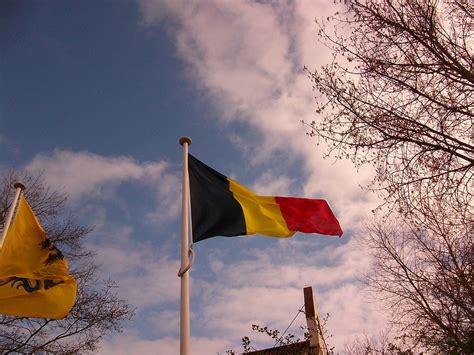 Belgium Flag | Free Stock Photo | Belgian flag | # 17826
