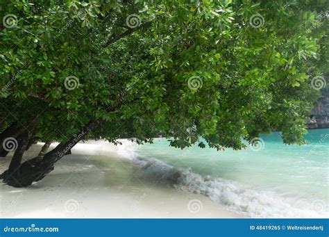 Hong Island Beach in Krabi Thailand Stock Image - Image of tree, blue ...