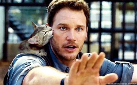 'Jurassic World' Gifs & Memes Of Chris Pratt Being The Coolest Guy Ever On-Screen & Off