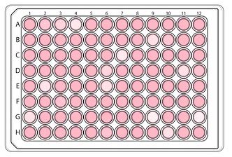 Cell culture well plates • Hemocytometer