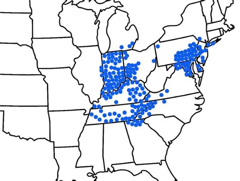 2021 Cicadas 13 Facts About The Brood X Cicada Invasion Maps When ...