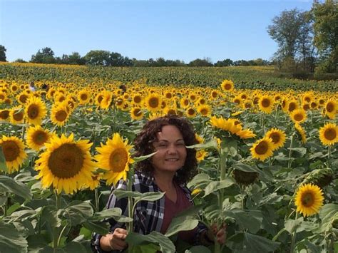 Sunflower Farm Near Richmond Mo - Home Alqu