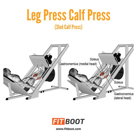 Leg Press Machine Muscles Worked