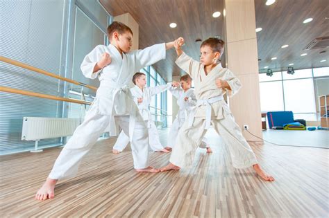 Successful Taekwondo (Korean Martial Arts) School | Transworld Business ...