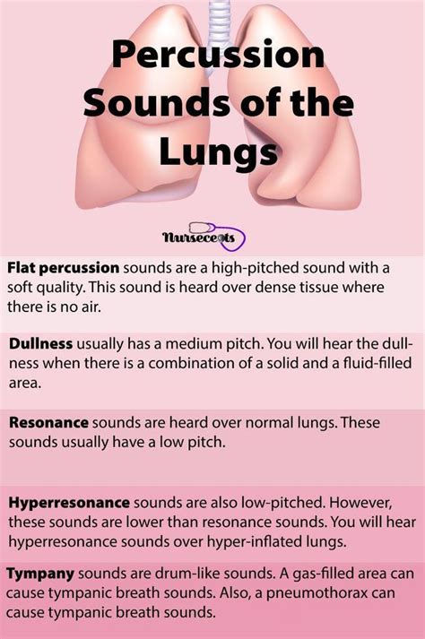 Percussion Sounds of the Lungs - MEDizzy