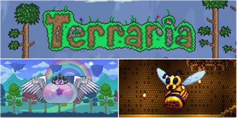 Terraria: 17 Best Mounts, Ranked | Tech News Vision