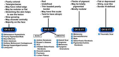 Is It Skin Cancer? - An Algorithm for Diagnosis