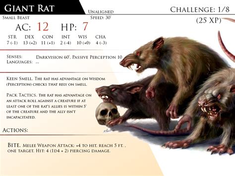 Rat, Giant by Almega-3 | Monster cards, Dnd monsters, Dnd