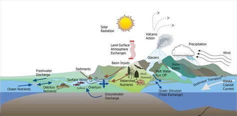 ecosystems | Ecosystem | Ecosystems, Science and nature, Groundwater