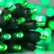 Battery Operated Lights - 20 Green Battery Operated 5mm LED Christmas Lights, Green Wire