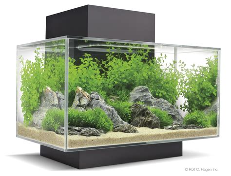 Fluval Edge - Click for Details | Bespoke Designer Aquariums & Custom Fish Tank Accessories ...