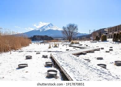 Mt Fuji Winter Seen Oishi Park Stock Photo 1917870851 | Shutterstock