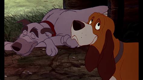 The Fox And The Hound 2 Animation Screencaps