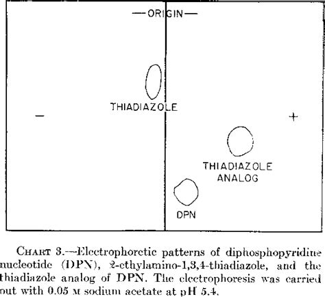 Table 3 from The antileukemic action of two thiadiazole derivatives. | Semantic Scholar