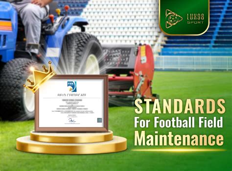 MAINTENANCE OF ARTIFICIAL GRASS FIELD - Lux98 Sports