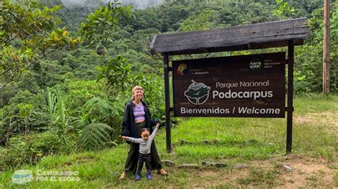 Parque Nacional Podocarpus - Zamora: Guía para visitarlo