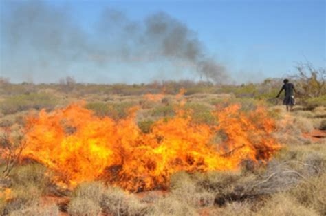 Can Aboriginal fire management restore declining mammal communities? - The Hermon Slade Foundation