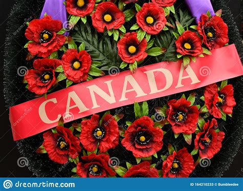 Inscription Canada on the Wreath of Poppies. Remembrance Day Stock ...