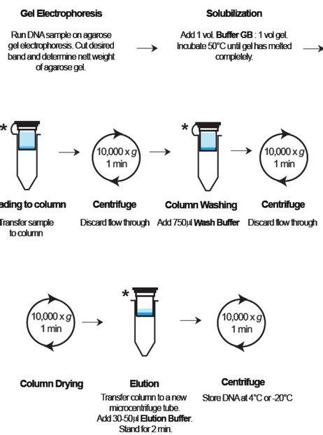 Gel Extraction and Isolation Kit | Bioswisstec