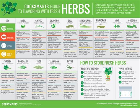 Our Guide to Using Herbs - Cook Smarts