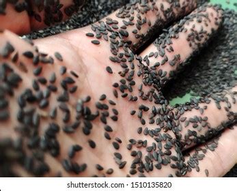 Trypophobia Skin Causes