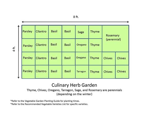 Companion Planting 4X8 Raised Bed Vegetable Garden Layout - Plant Ideas