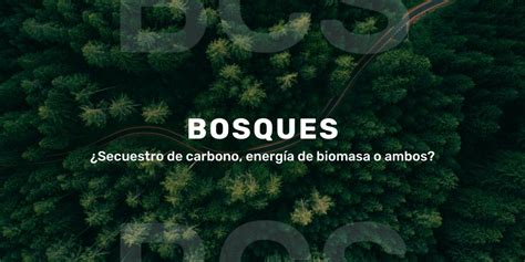 Research Article. Forests: Carbon sequestration, biomass energy, or ...