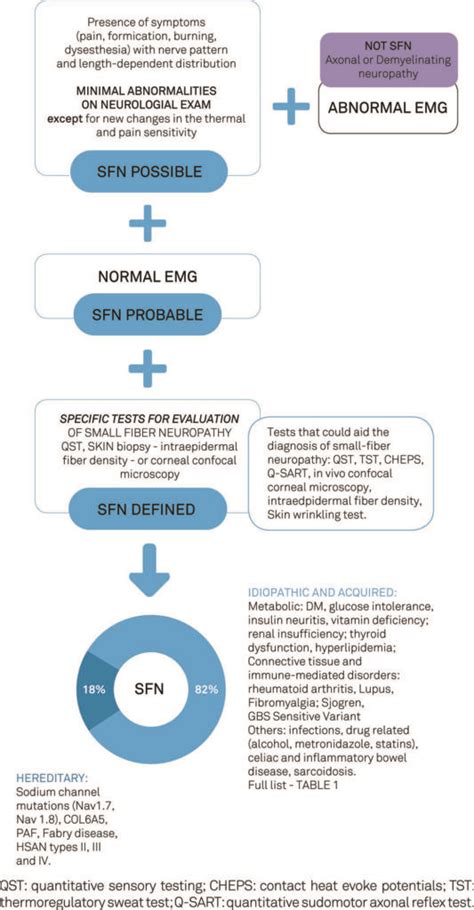 Definition and diagnosis of small fiber neuropathy: consensus from the ...