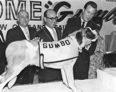 Gumbo rah-rah: How a St. Bernard dog became the New Orleans Saints ...