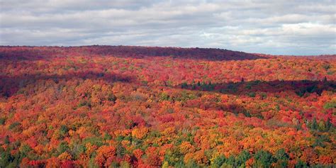 Best spots to see the fall colors MN along the North Shore. Includes suggested drives & hikes ...