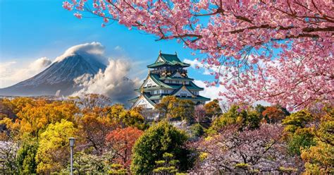 Studying Abroad in Japan: 8 Highlights - AIFS Study Abroad Blog