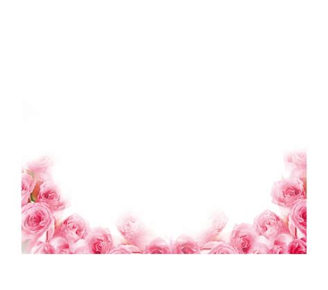 Pink Rose Border Pink Rose Petals Png - Clip Art Library