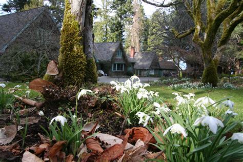 VIU’S Milner Gardens Offers Spring Activities For Whole Family | News | Vancouver Island ...