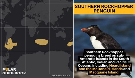 Rockhopper Penguin Habitat Map