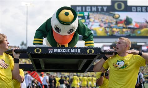 Oregon duck mascot suffered through 546 push-ups as team scored 81