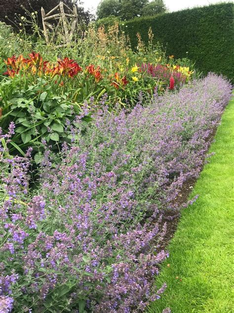 The best edging plants: easy ways to define key areas of your garden ...