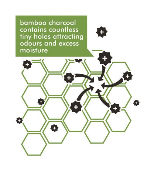 Why Bamboo Charcoal? | Ever Bamboo