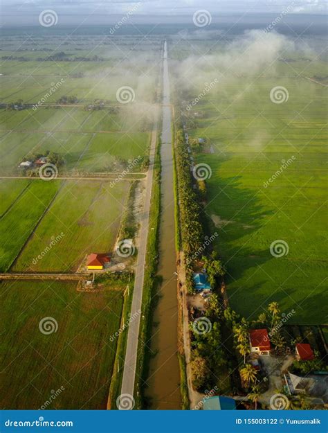 Beautiful Sunrise Over the Green Paddy Field with Clouds. Stock Photo ...