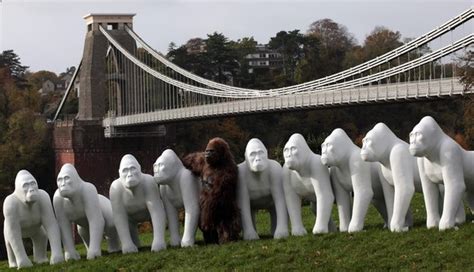 Gorilla sculptures ~ Animalfwd